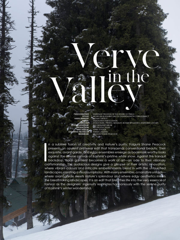 verve in the valley