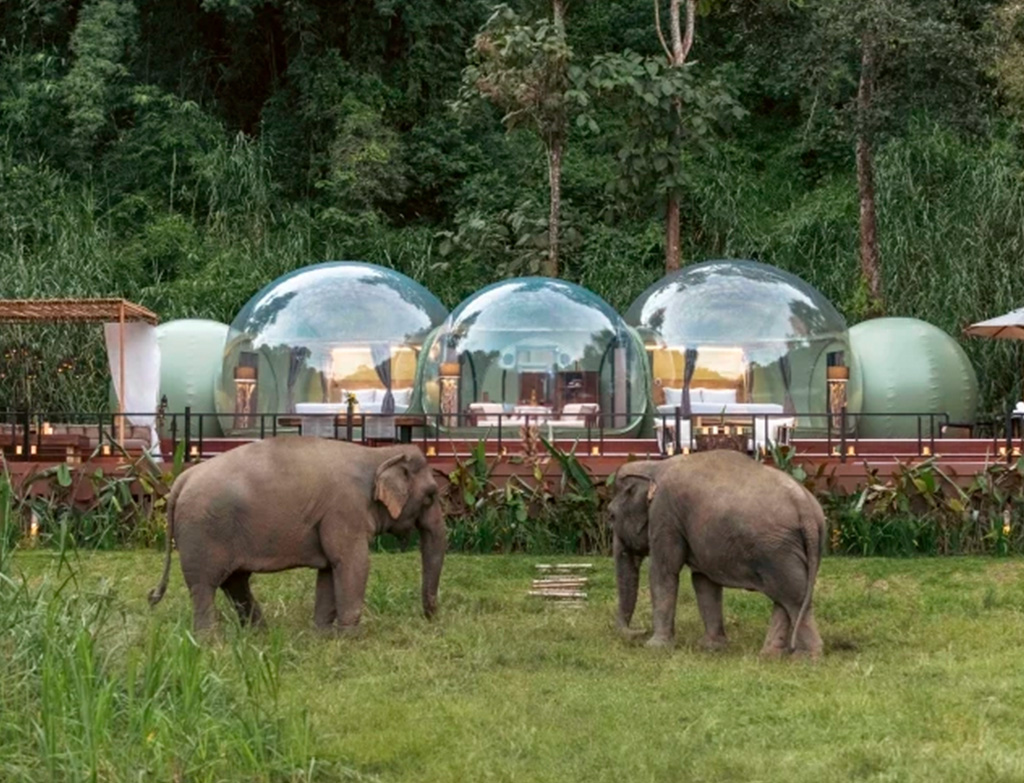 Anantara Bubble stay2