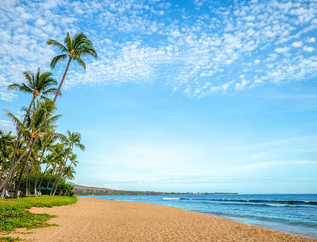 Ka_anapali Beach