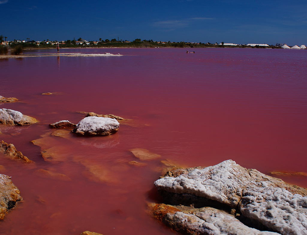 Las Salinas de Torrevieja, Spain