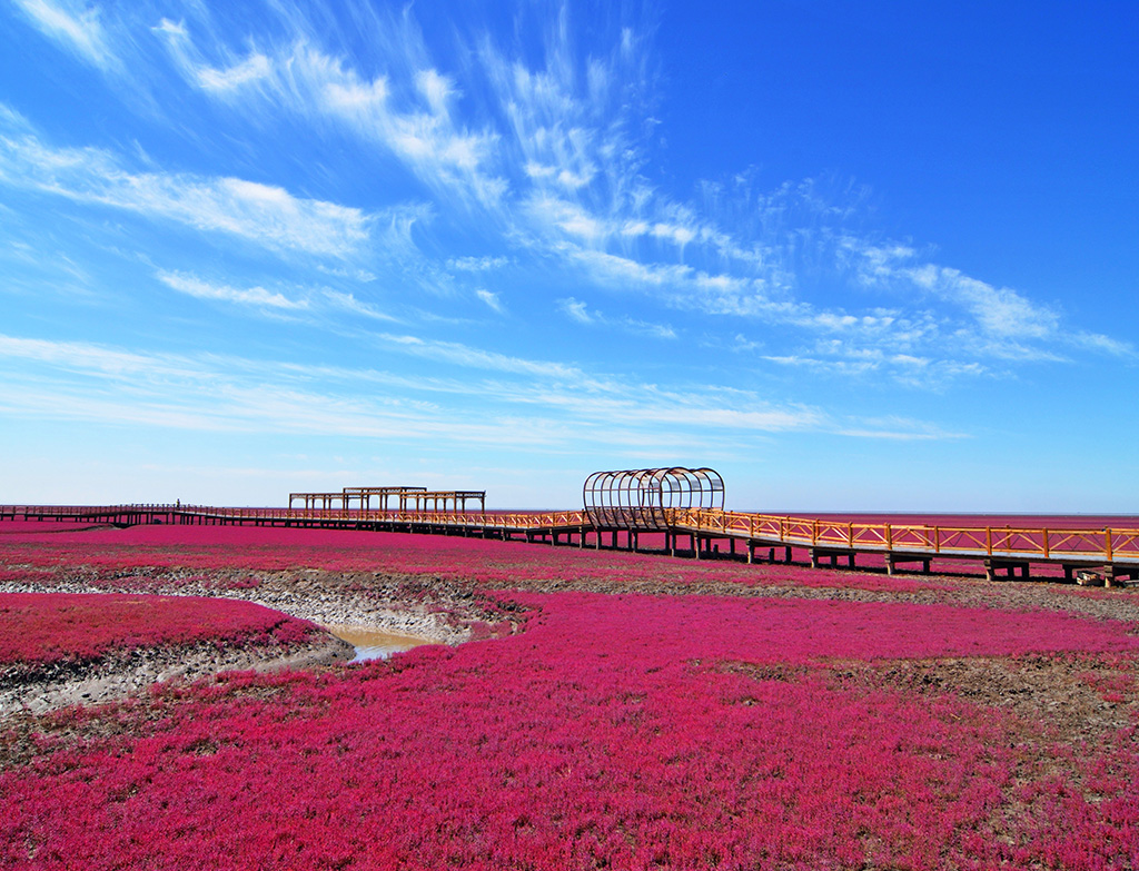 The Red Beach, China