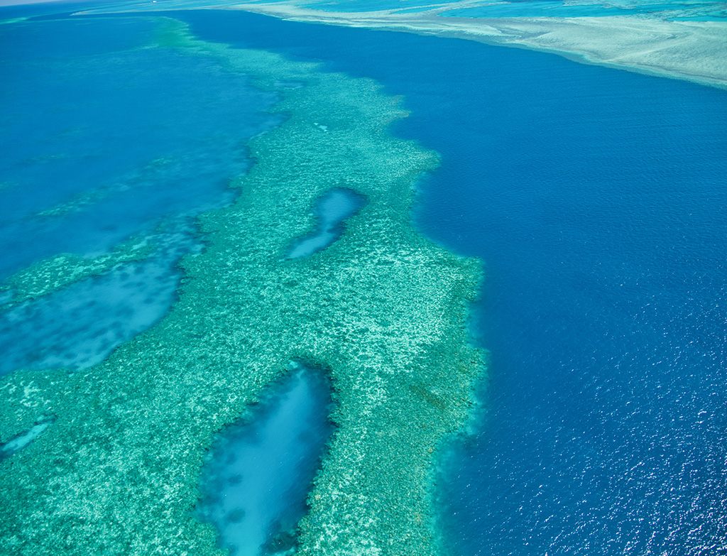 The Great Barrier Reef, Australia