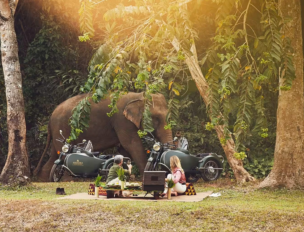 Elephant experience at Anantara Golden Triangle Resort in Thailand