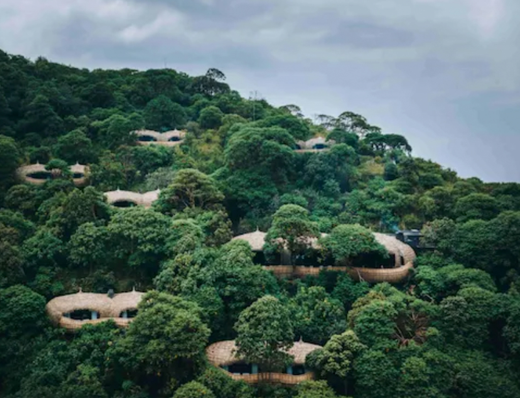 Wilderness Bisate Lodge surrounded by forest in Rwanda