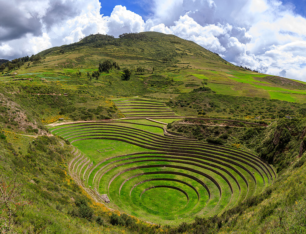 Moray Terraces