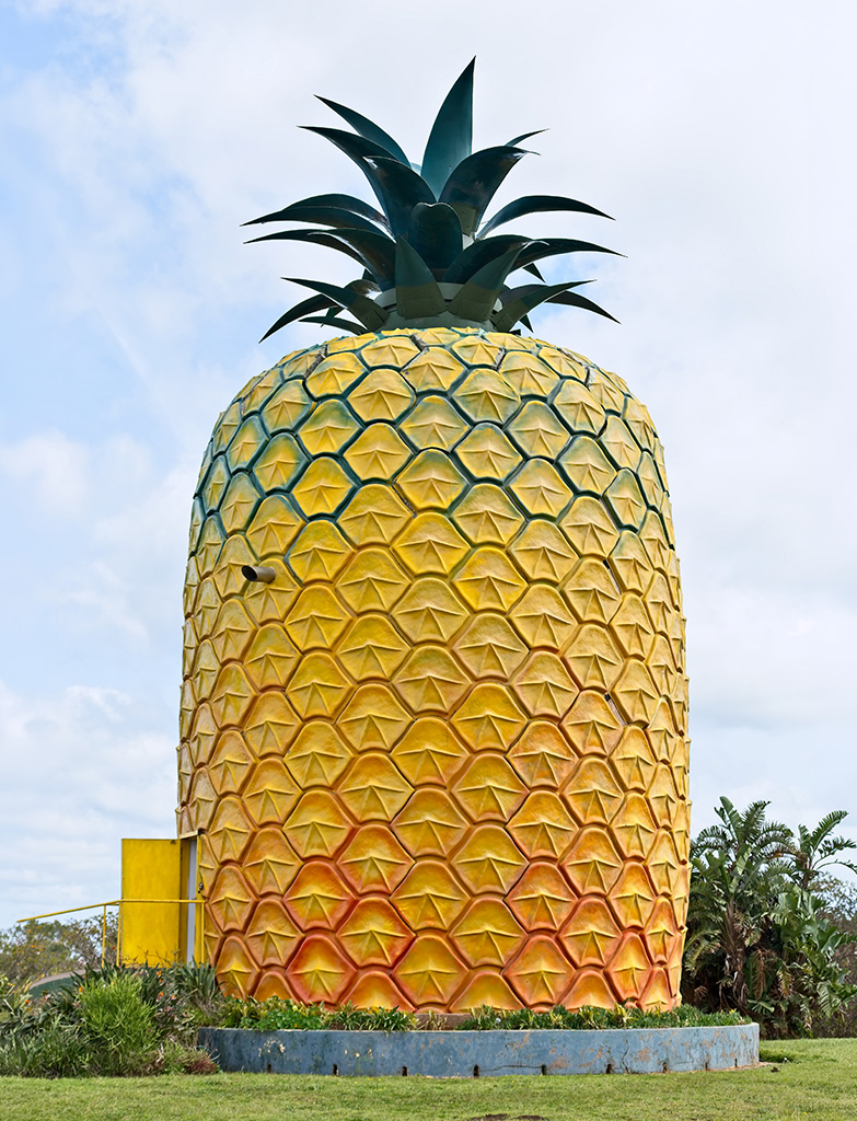 Big Pineapple