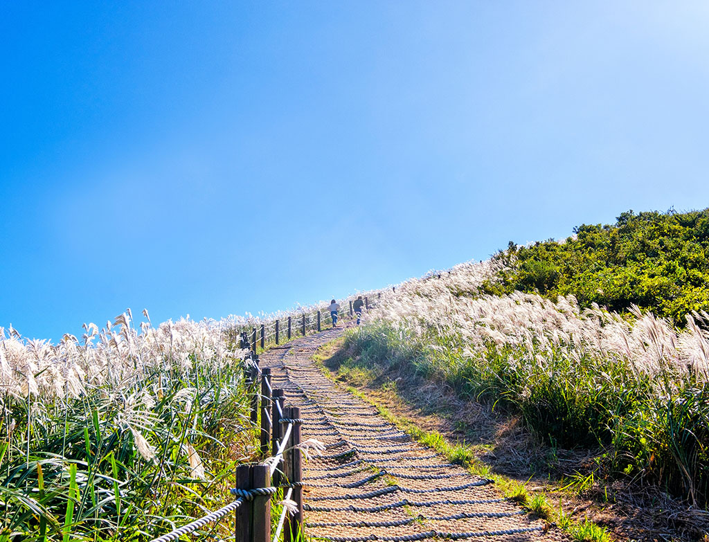 Jeju-destinations we can visit in October