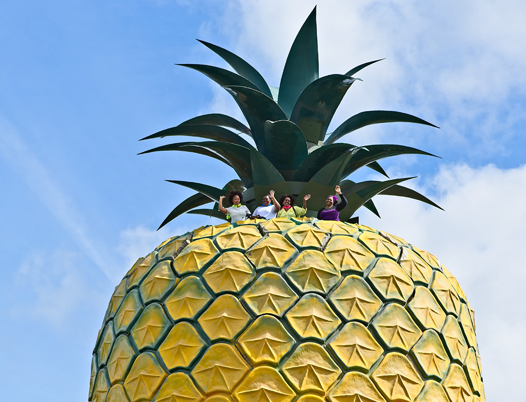 Pineapple top