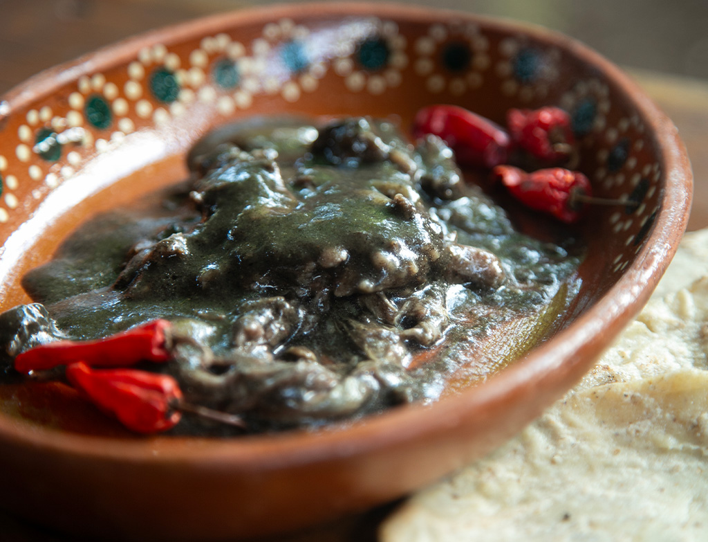 food of yucatan	-Pavo en Relleno Negro