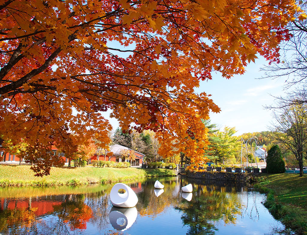 Sapporo-fall vacation ideas