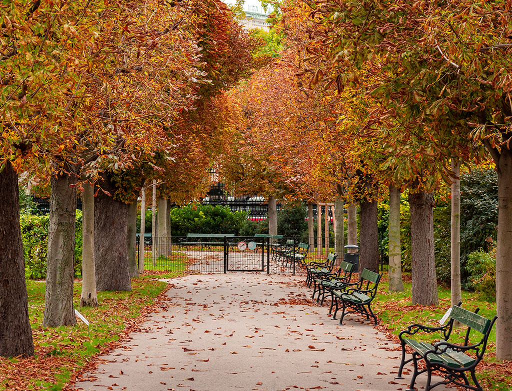 Vienna-vacation in autumn