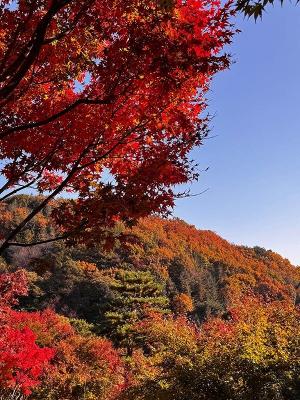 Fall Vacation Ideas Around the World