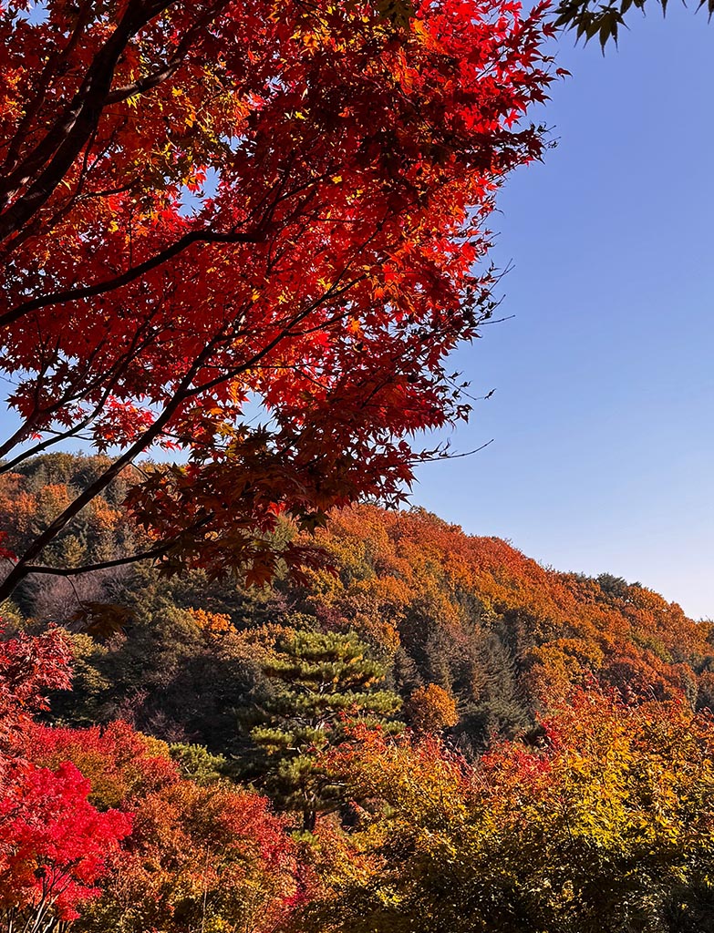 Fall Vacation Ideas Around the World